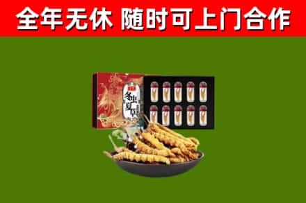 汕尾回收冬虫夏草价格